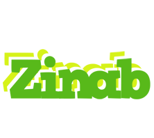 Zinab picnic logo