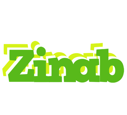 Zinab picnic logo