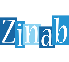 Zinab winter logo