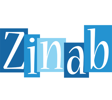 Zinab winter logo