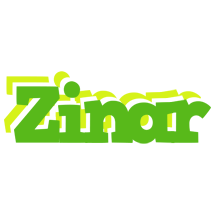 Zinar picnic logo