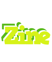 Zine citrus logo