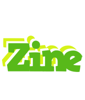 Zine picnic logo