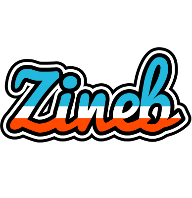 Zineb america logo