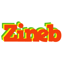 Zineb bbq logo