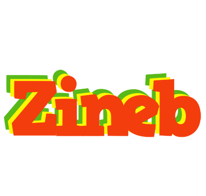 Zineb bbq logo