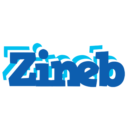 Zineb business logo