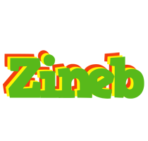Zineb crocodile logo