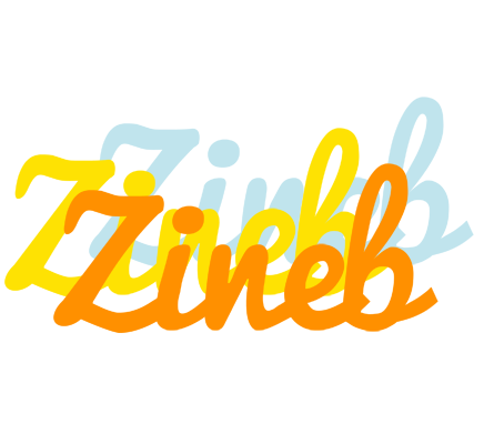 Zineb energy logo