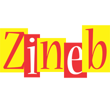 Zineb errors logo