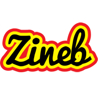 Zineb flaming logo