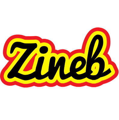 Zineb flaming logo