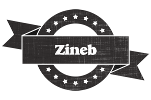 Zineb grunge logo