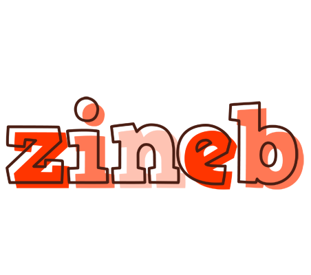 Zineb paint logo