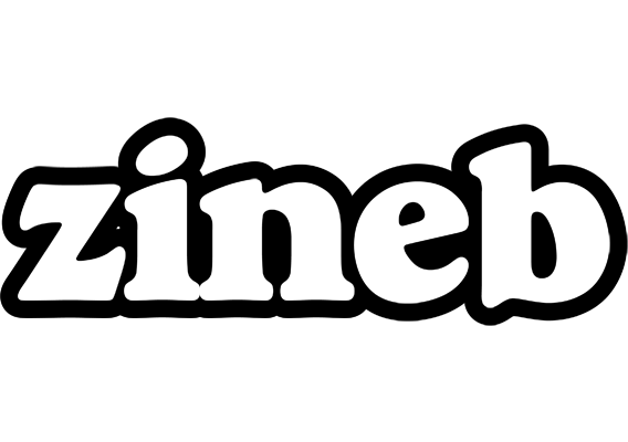 Zineb panda logo