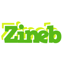 Zineb picnic logo