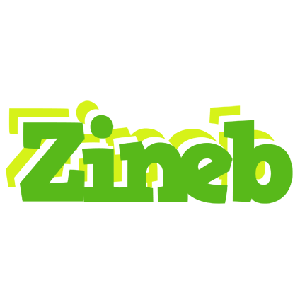 Zineb picnic logo