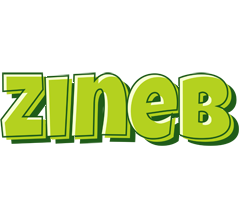 Zineb summer logo