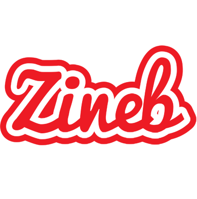 Zineb sunshine logo