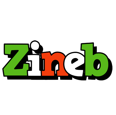 Zineb venezia logo