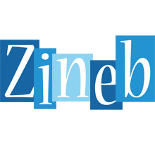 Zineb winter logo