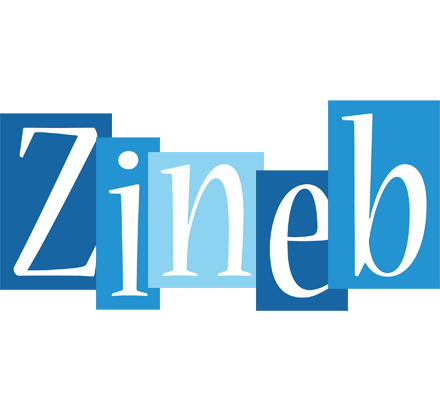 Zineb winter logo