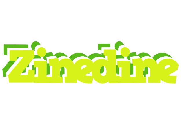 Zinedine citrus logo