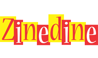 Zinedine errors logo