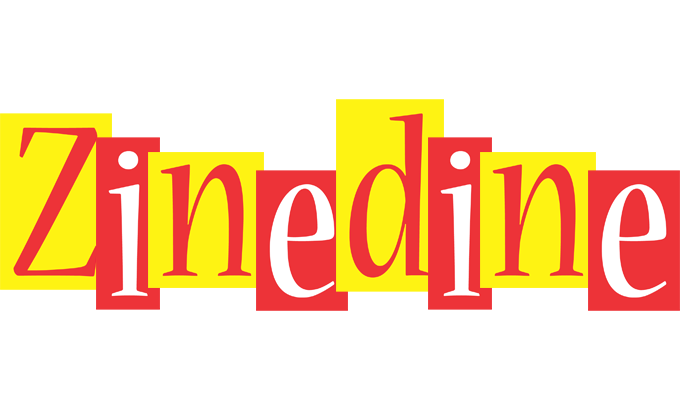 Zinedine errors logo