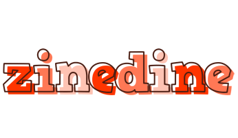 Zinedine paint logo