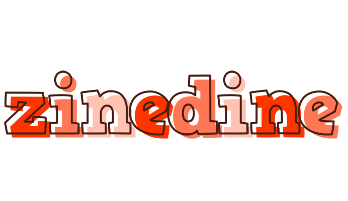 Zinedine paint logo