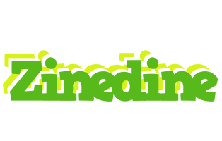 Zinedine picnic logo