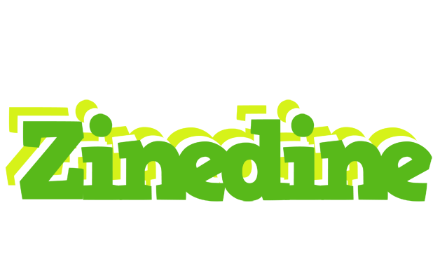 Zinedine picnic logo