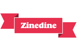 Zinedine sale logo