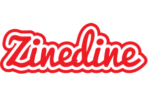 Zinedine sunshine logo