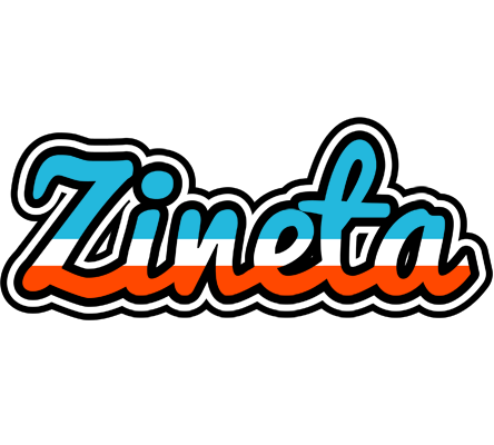 Zineta america logo