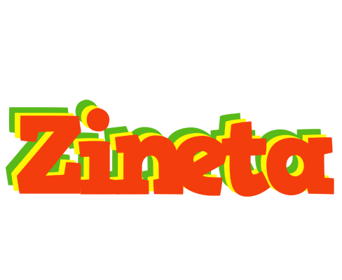 Zineta bbq logo