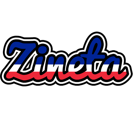 Zineta france logo