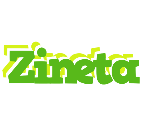 Zineta picnic logo