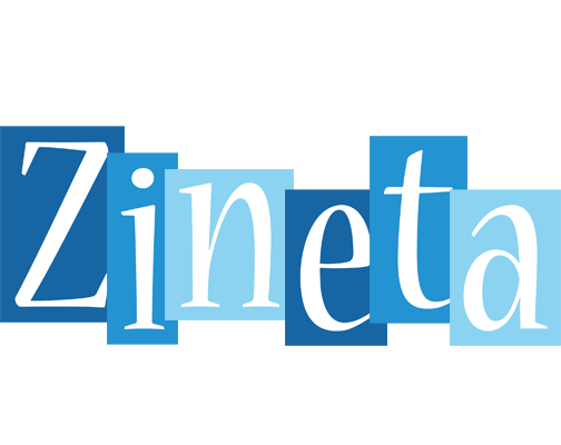 Zineta winter logo