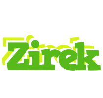 Zirek picnic logo