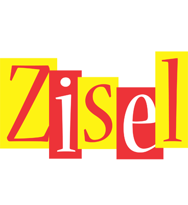 Zisel errors logo