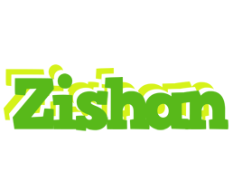 Zishan picnic logo