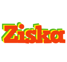 Ziska bbq logo