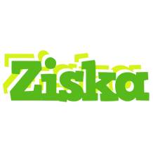 Ziska picnic logo