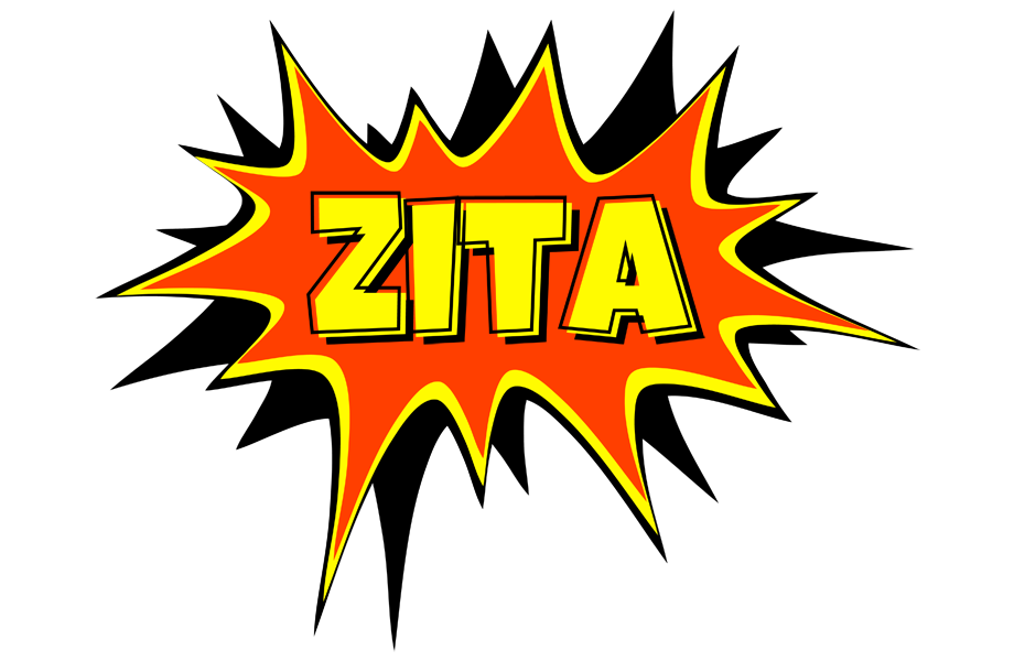 Zita bazinga logo