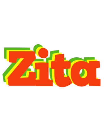 Zita bbq logo