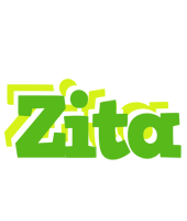 Zita picnic logo