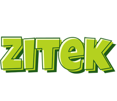 Zitek summer logo