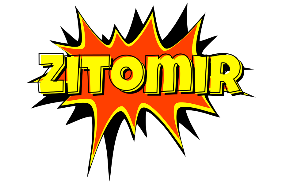 Zitomir bazinga logo